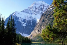 开云APP-关于法网鏖战温网，阿尔卡拉斯统治全场的信息