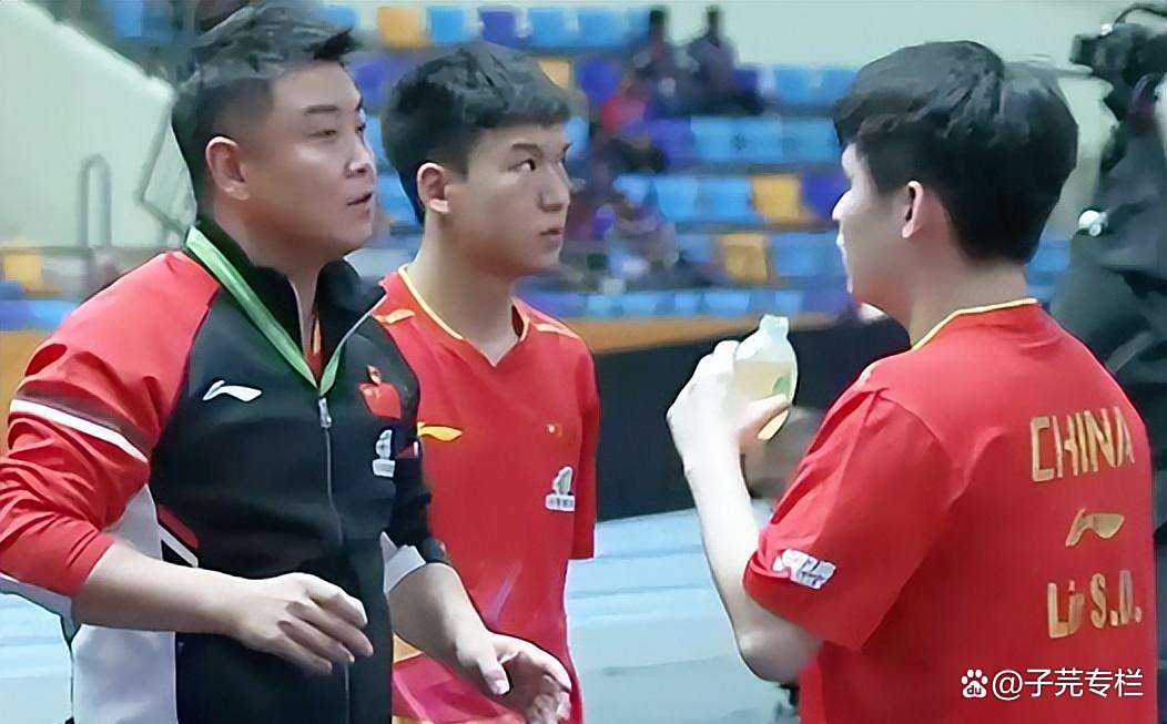 日本乒乓球队翻盘德国乒乓球队，王皓关键制胜的简单介绍