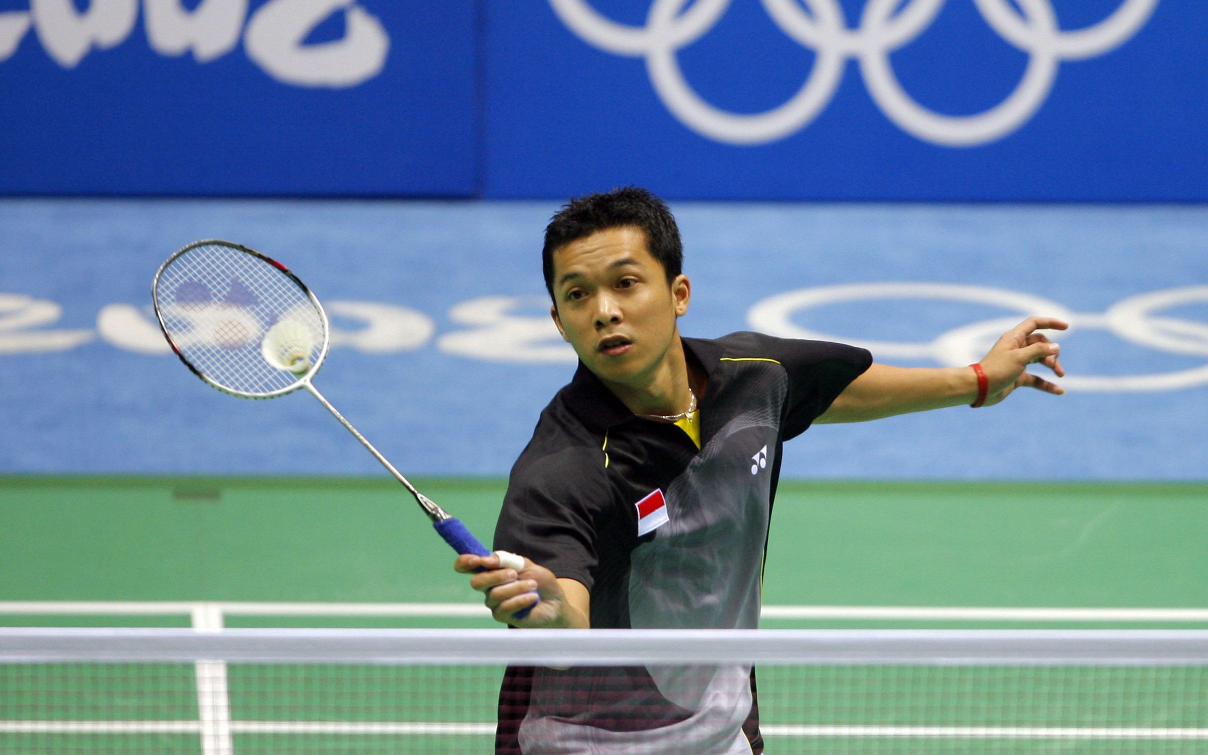 包含印尼羽毛球队横扫法国羽毛球队，陶菲克惊艳世界的词条