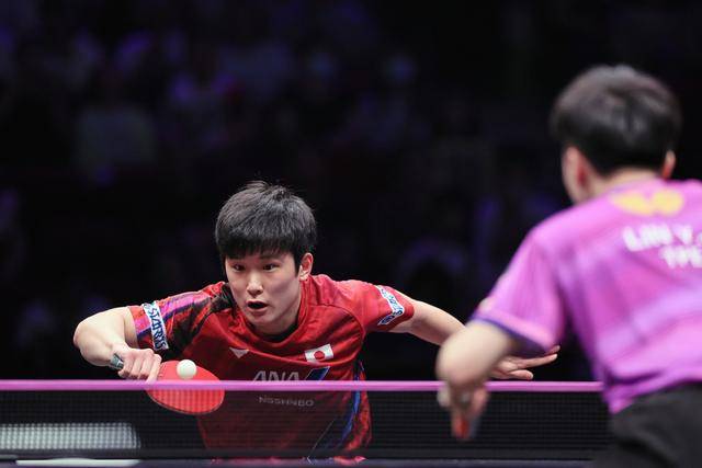 波兰队鏖战韩国队,张本智和状态火热的简单介绍 波兰队鏖战韩国队,张本智和状态火热的简单介绍