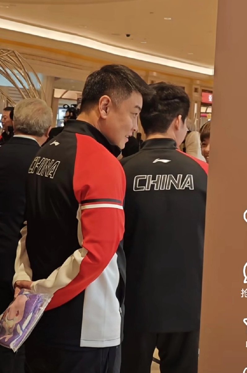 关于日本乒乓球队血洗德国乒乓球队，王皓制霸全场的信息